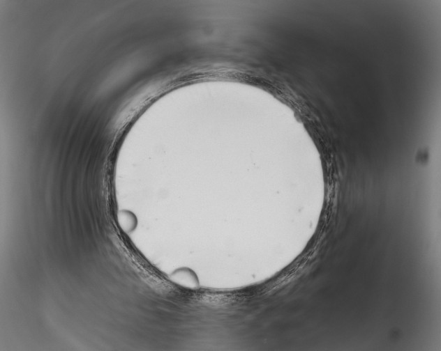 X0000114570341200911301316