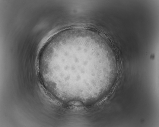 X0000114570343200911301316