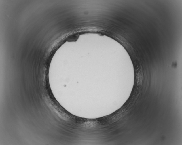 X0000114570350200911301316