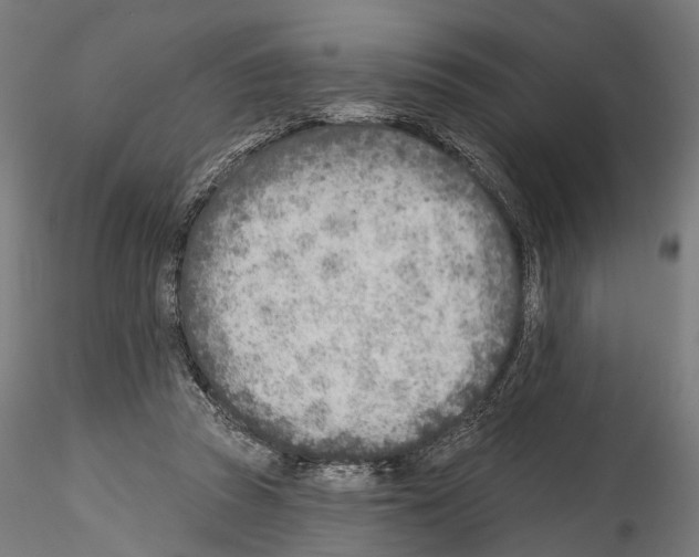 X0000114570353200911301316