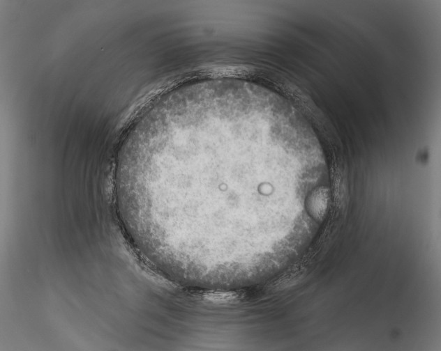 X0000114570357200911301316