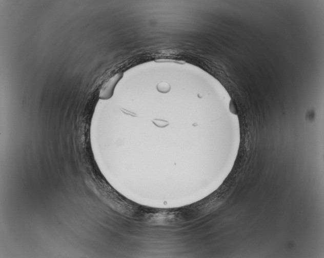 X0000114570366200911301316