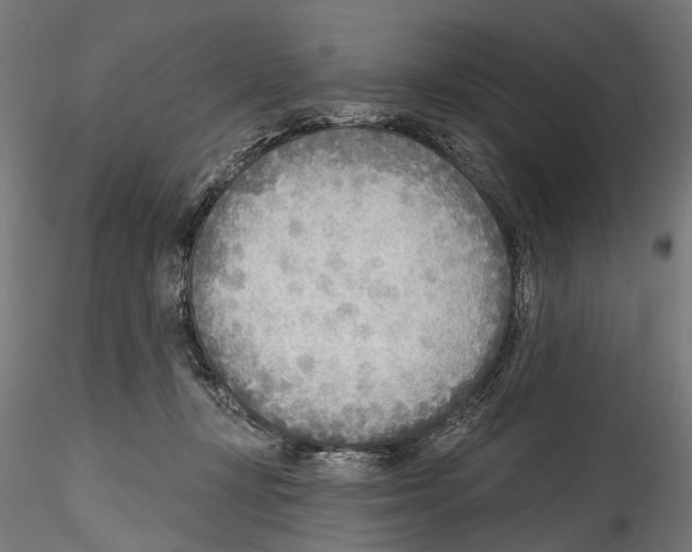 X0000114570367200911301316