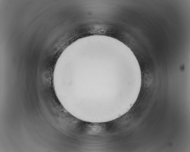 X0000114570370200911301316