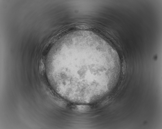 X0000114570371200911301316