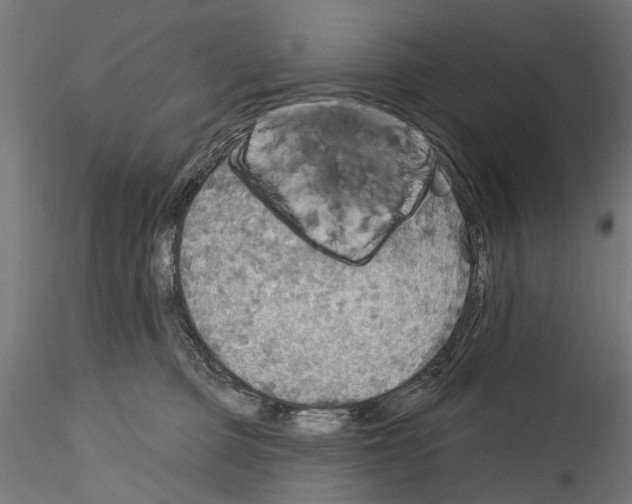 X0000114570373200911301316