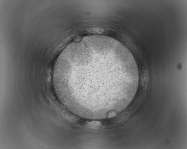 X0000114570374200911301316