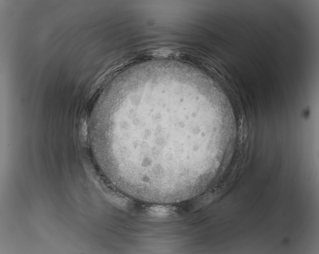 X0000114570375200911301316