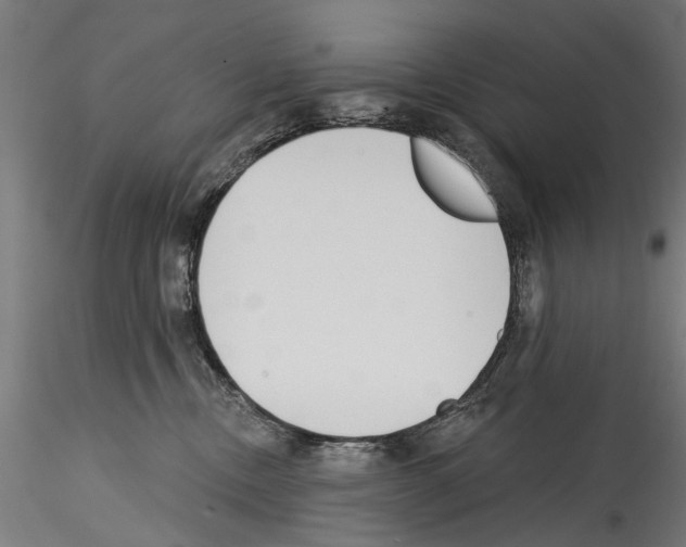 X0000114570378200911301316