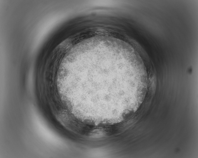 X0000114570381200911301316