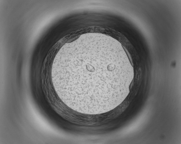 X0000114570383200911301316