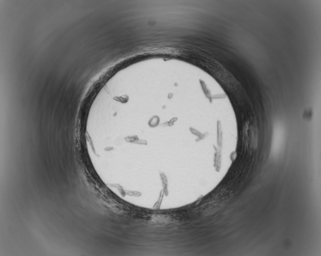 X0000114570388200911301316