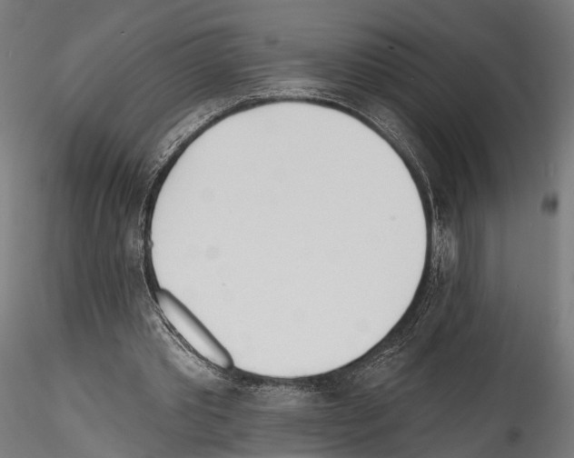 X0000114570389200911301316