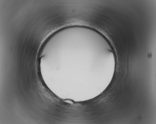 X0000114570391200911301316