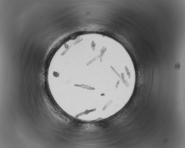 X0000114570392200911301316