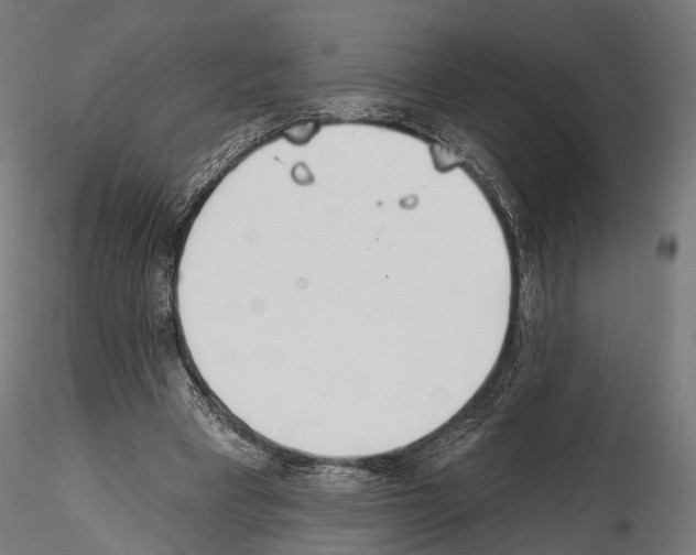 X0000114570393200911301316