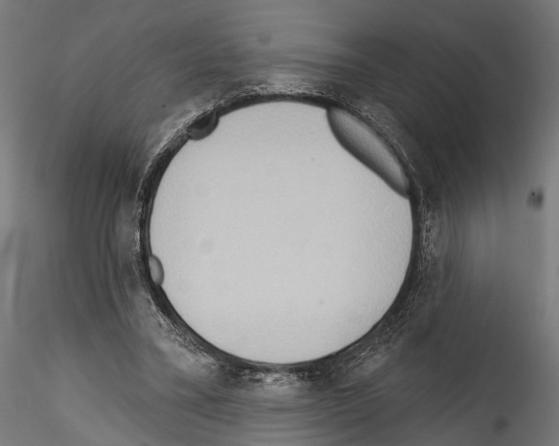 X0000114570395200911301316