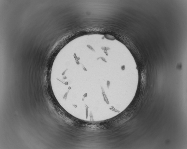 X0000114570396200911301316