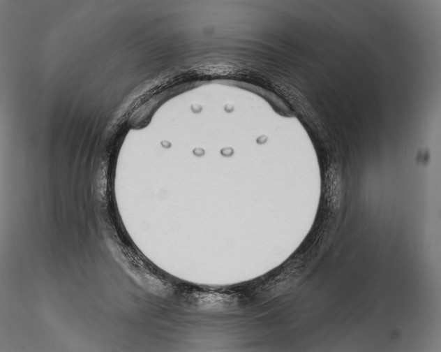 X0000114570400200911301316