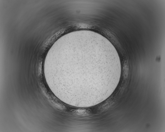 X0000114570406200911301316