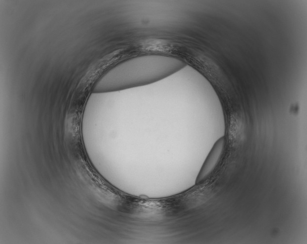 X0000114570409200911301316