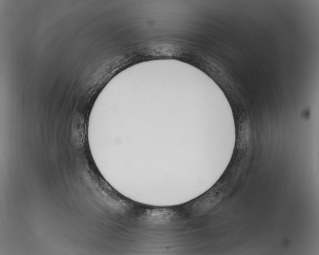 X0000114570414200911301315