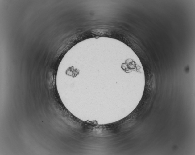 X0000114570420200911301315