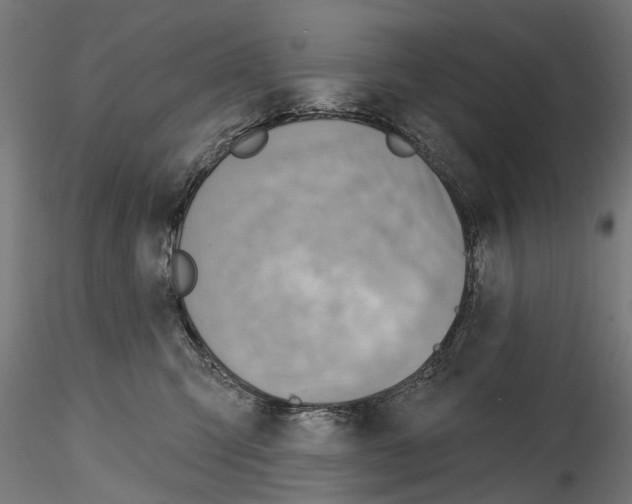 X0000114570423200911301315