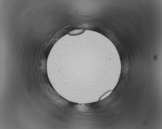 X0000114570425200911301315