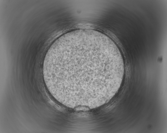 X0000114570433200911301315