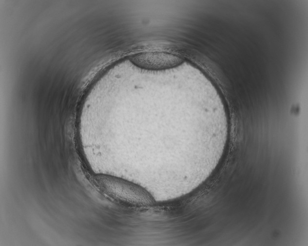 X0000114570434200911301315