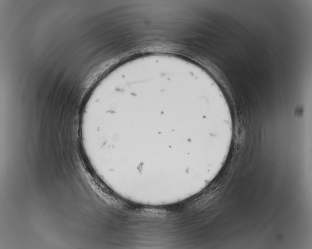 X0000114570437200911301315