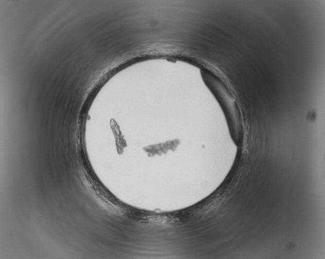 X0000114570439200911301315