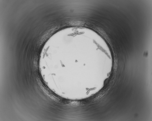 X0000114570441200911301315