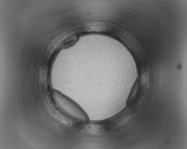 X0000114570444200911301315