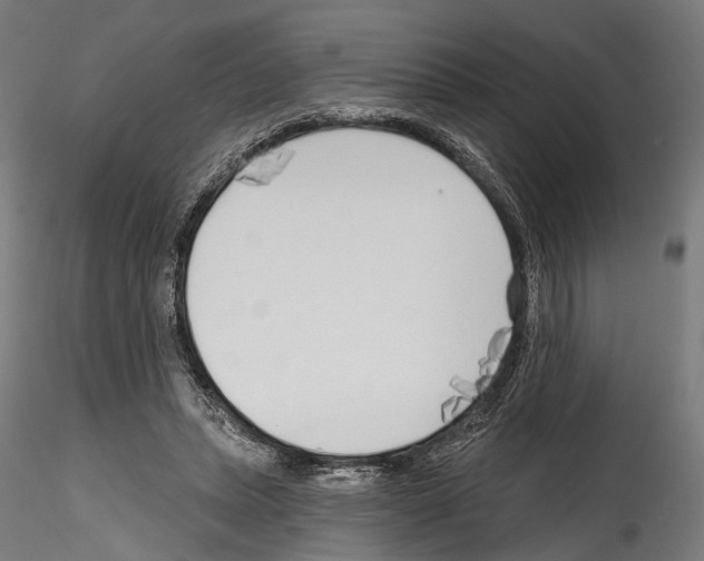 X0000114570447200911301315