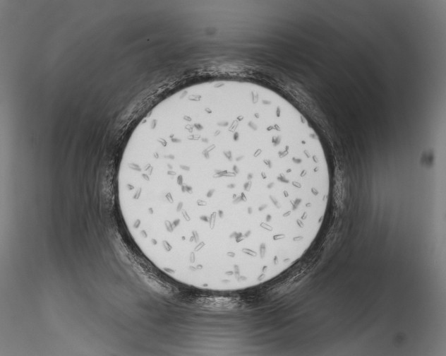 X0000114570449200911301315