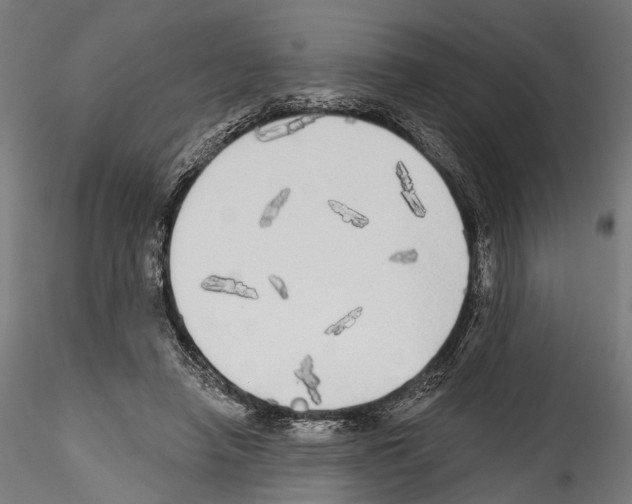 X0000114570450200911301315