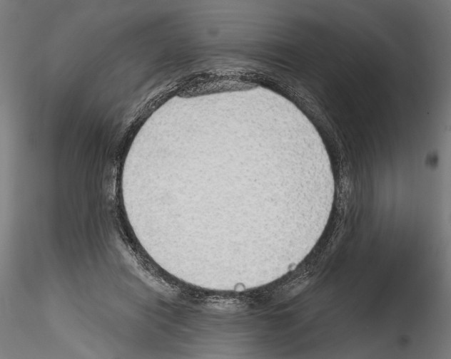 X0000114570454200911301315