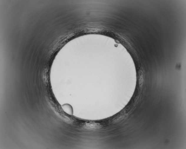 X0000114570455200911301315