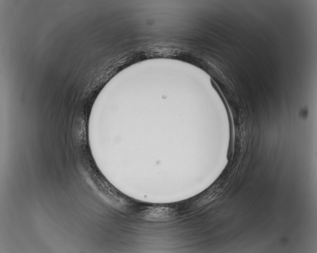 X0000114570459200911301315