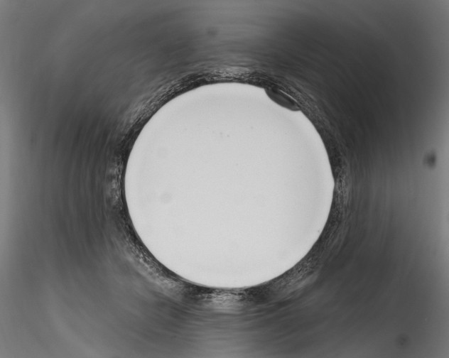 X0000114570462200911301315