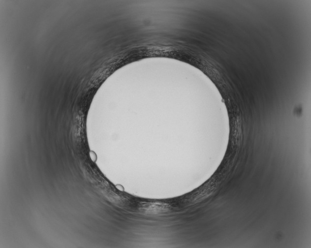 X0000114570463200911301315