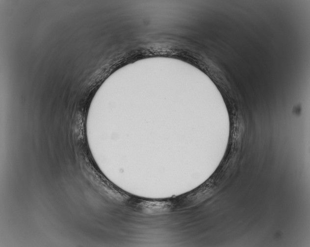 X0000114570465200911301315