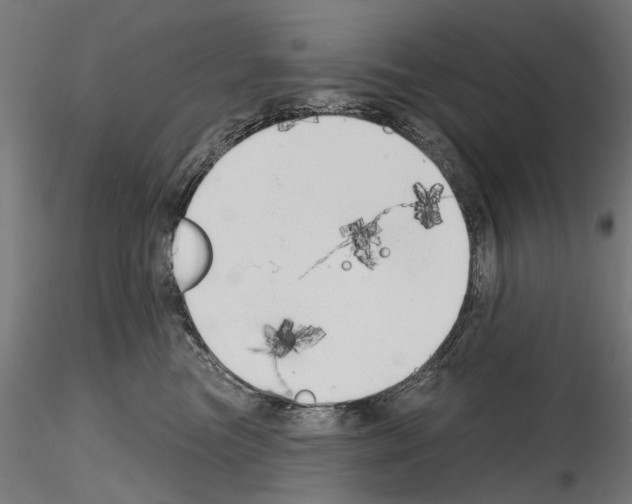 X0000114570473200911301315