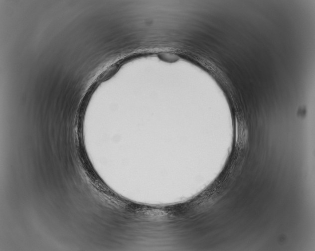 X0000114570483200911301314