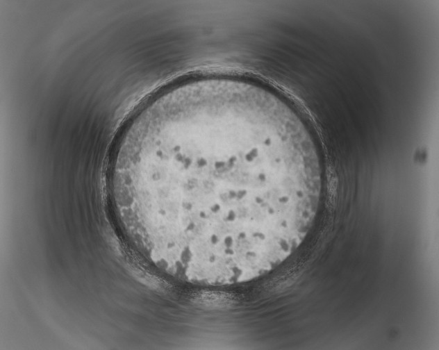 X0000114570487200911301314