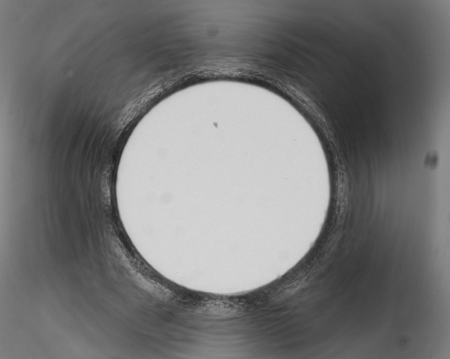 X0000114570489200911301314