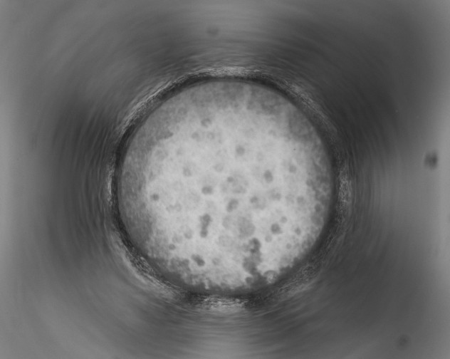 X0000114570491200911301314