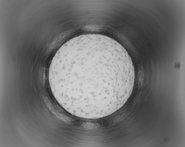 X0000114570494200911301314